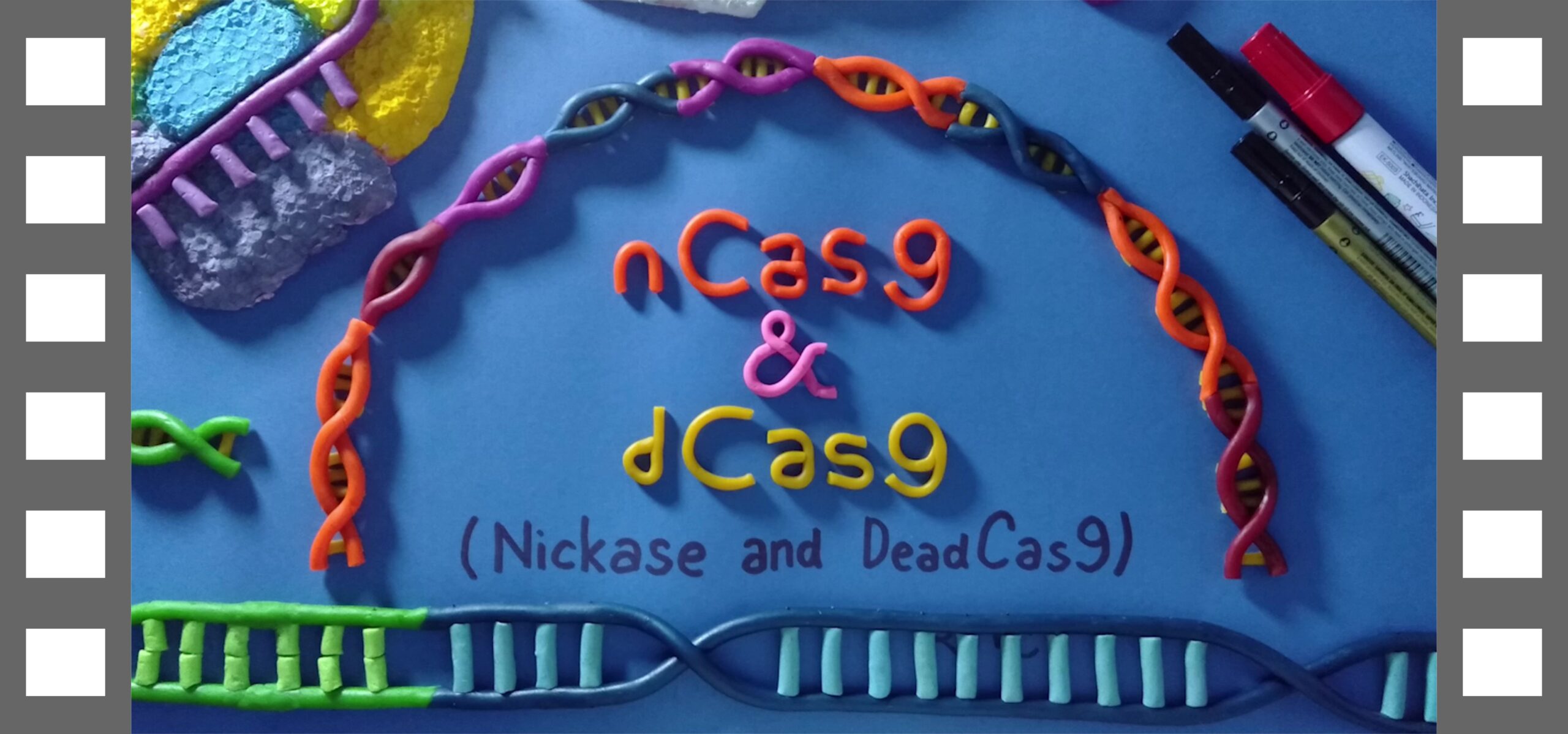 The World of CRISPR with Khalid! – nCas9 und dCas9