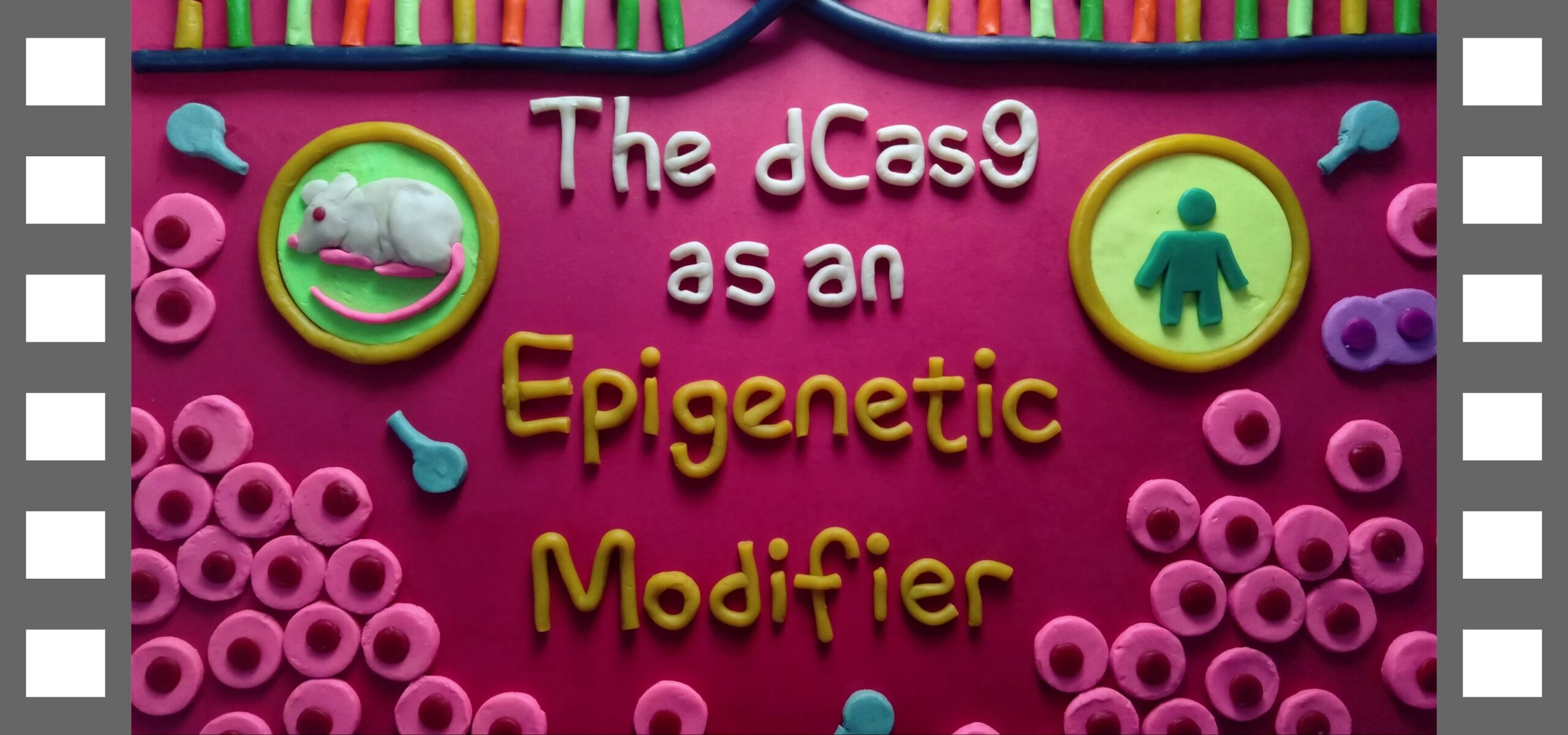 The World of CRISPR with Khalid! – dCas9 als epigenetischer Modifikator