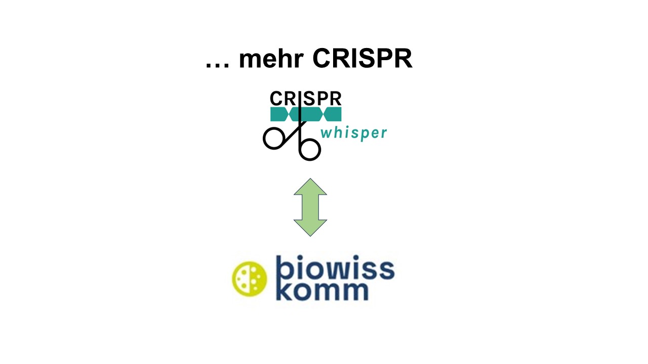 … mehr CRISPR